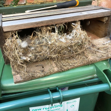 Nest Box cleaning